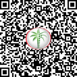 Mercedes Binghatti QR