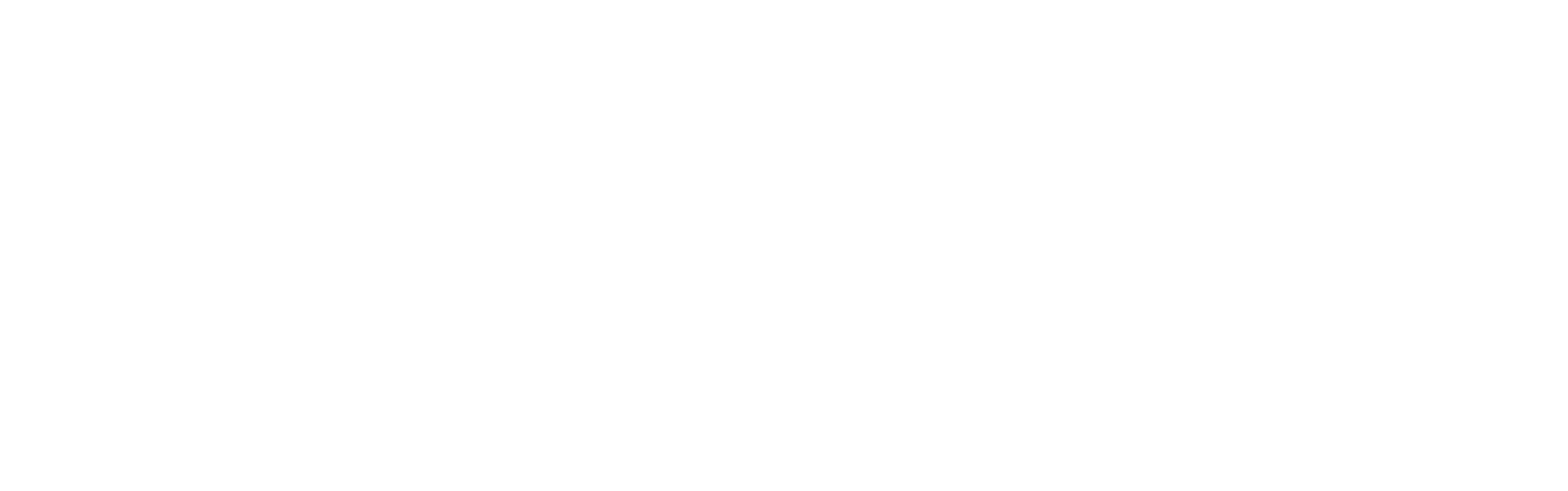 Asset Homez