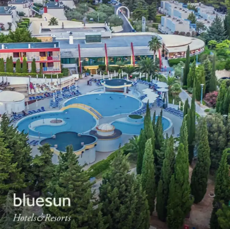 Bluesun
